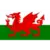 Wales U19 logo