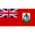Bermuda logo